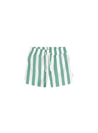 Cabana Stripe Swim Short