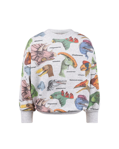 Dino Bright Sweatshirt