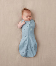 Load image into Gallery viewer, Cocoon Swaddle Bag - Dragonflies (1.0 TOG)
