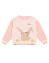 Load image into Gallery viewer, Flossy Bunny Jumper
