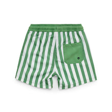 Load image into Gallery viewer, Board Shorts - Coastal Stripe
