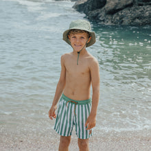 Load image into Gallery viewer, Board Shorts - Coastal Stripe
