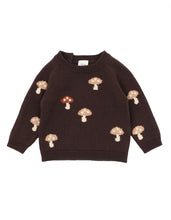 Load image into Gallery viewer, Toby Mushroom Jumper
