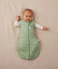 Load image into Gallery viewer, Cocoon Swaddle Bag - Willow (3.5 TOG)
